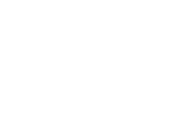 Fender